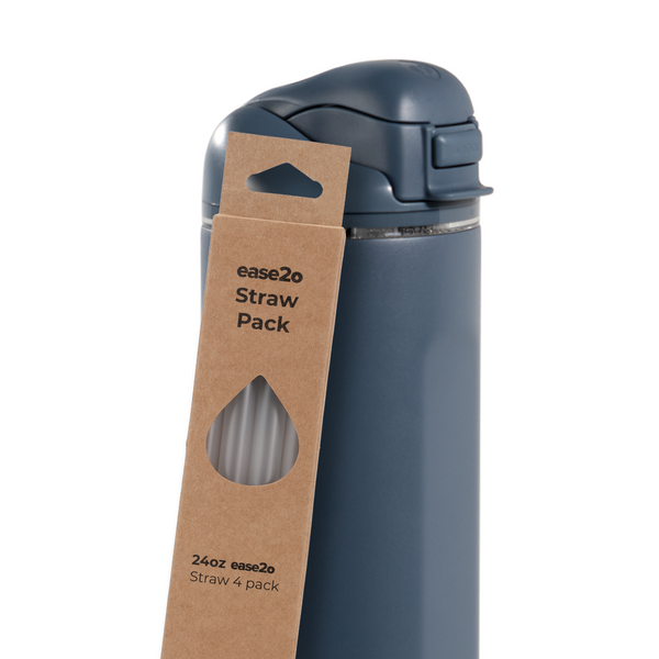 Ease2o Straws 4 Pack 24oz dxf